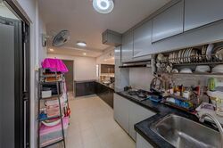 Blk 239 Bukit Panjang Ring Road (Bukit Panjang), HDB Executive #509995791